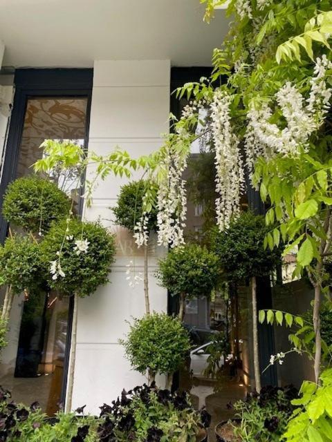 Ab Residences -Cihangir Luxury Antique Apartment Истанбул Екстериор снимка